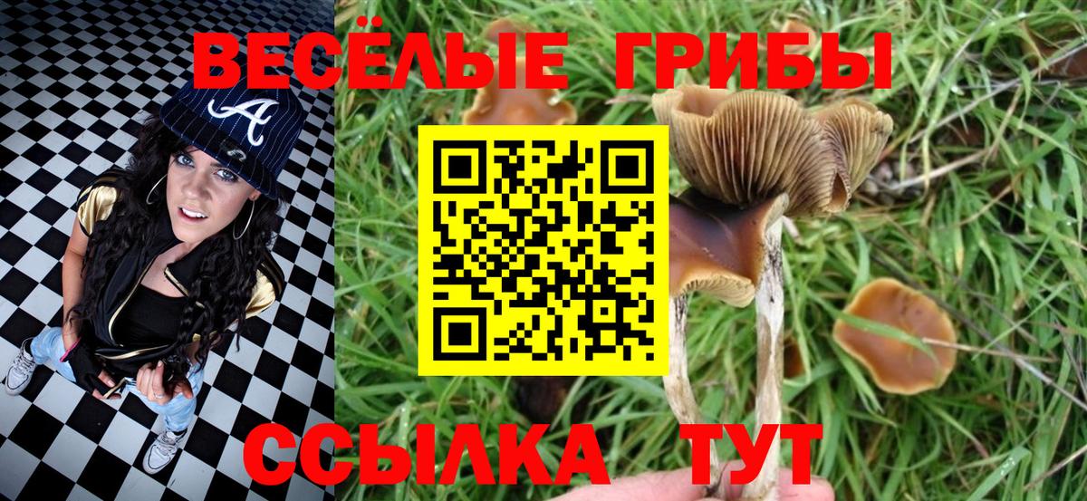 Псилоцибиновые грибы MAGIC MUSHROOMS Тобольск